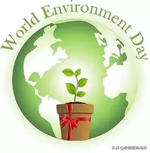 乳腺癌后期痛疼用什么中药治疗,乳腺癌咳嗽痰多