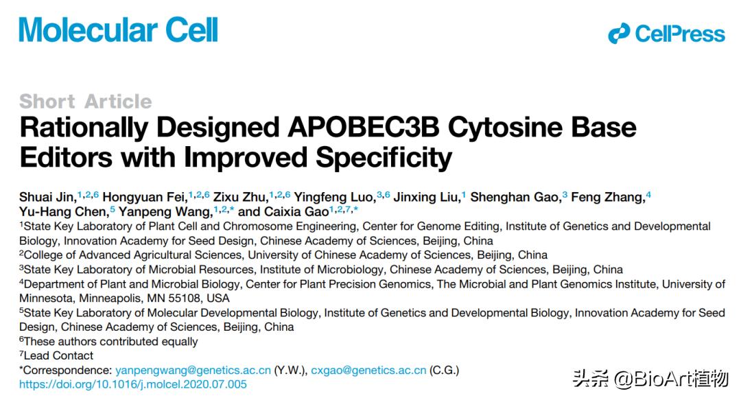 基因编辑技术工具,高效靶向基因编辑技术有什么