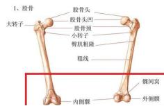 髂胫束摩擦综合征（膝外侧疼痛）跑步杀手，自我预防、康复的方法
