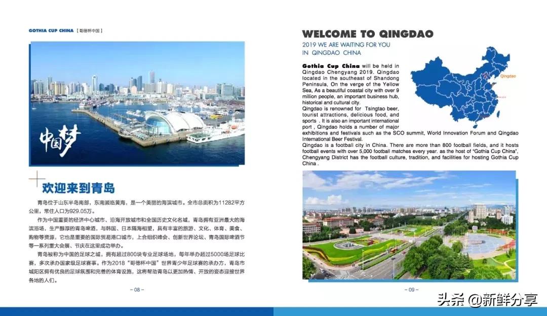 哥德杯世界青少年足球赛,国际青少年足球大赛在哪里举办