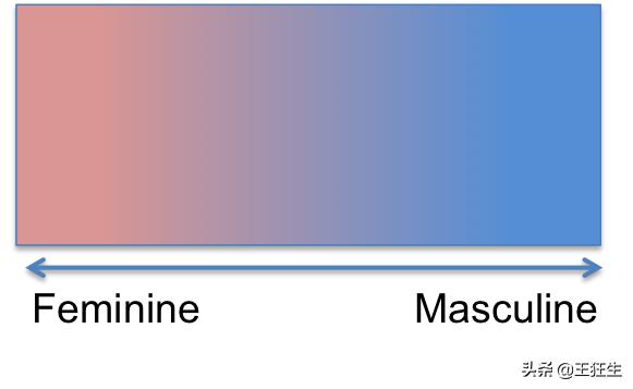 Blinkist性别教育：《她/他/Ta们/我》