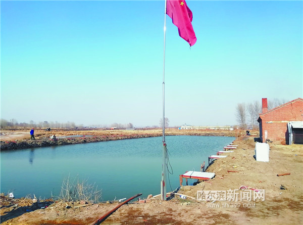 2022年淡水鱼价格行情,淡水鱼批发价格行情