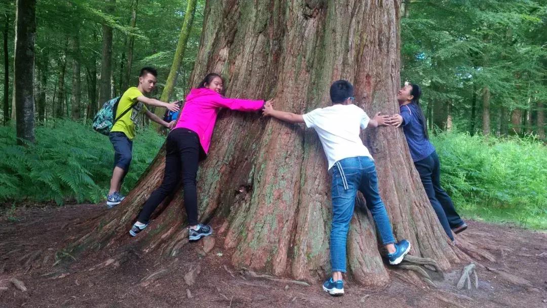 暑期游学英语课程,英国游学夏令营必需要学习英语