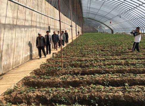 营口芮祥果蔬种植专业合作社：履行社会责任助力精准扶贫