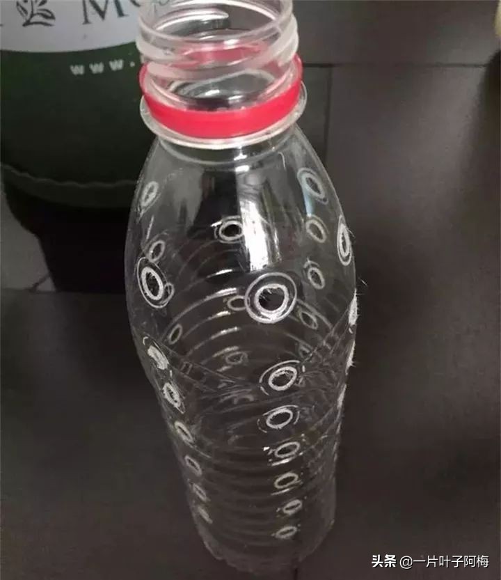 绿萝为什么叶子越来越小,绿萝为啥叶子越养越小