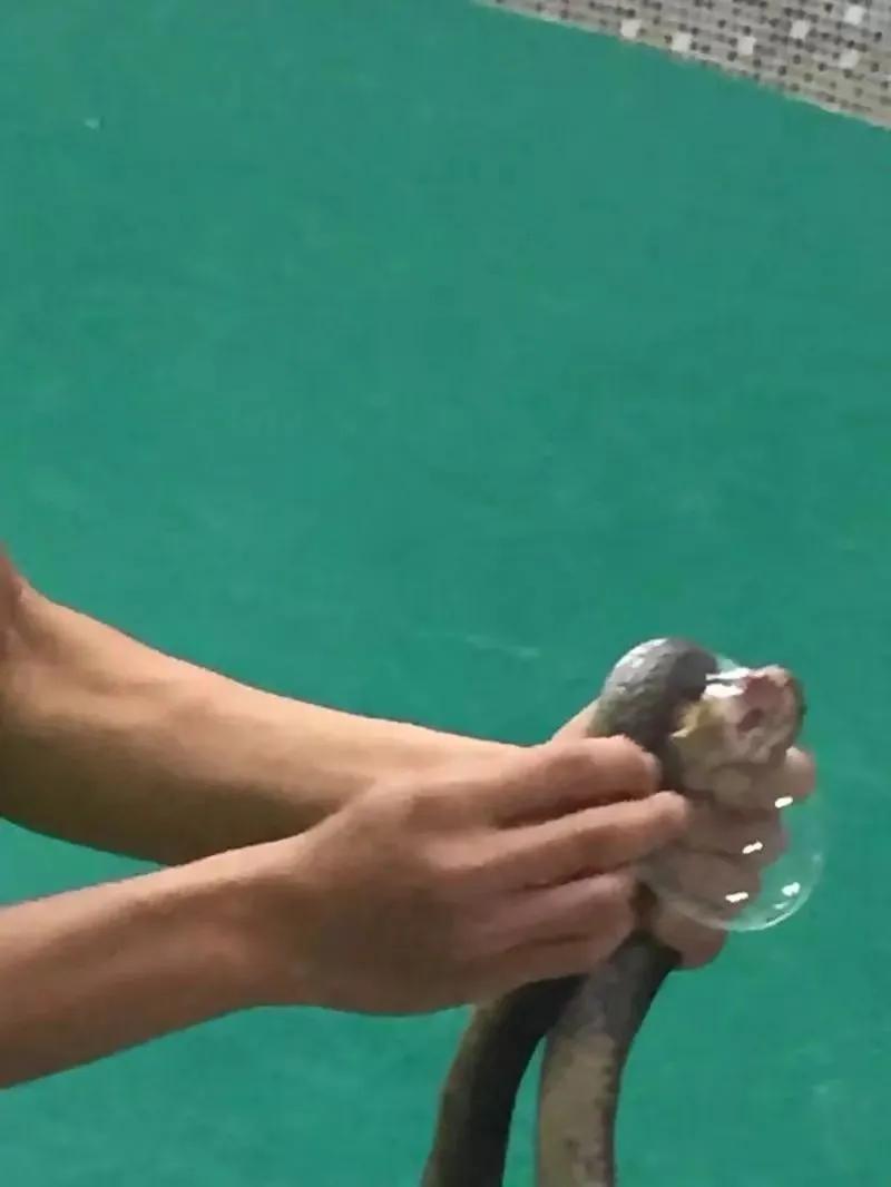 来普吉岛后感觉好难受,普吉岛最后一天购物