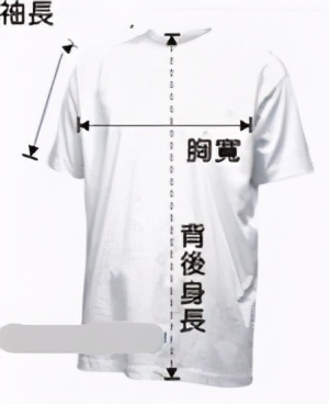t恤衫正确选择,t恤衫尺码怎么选