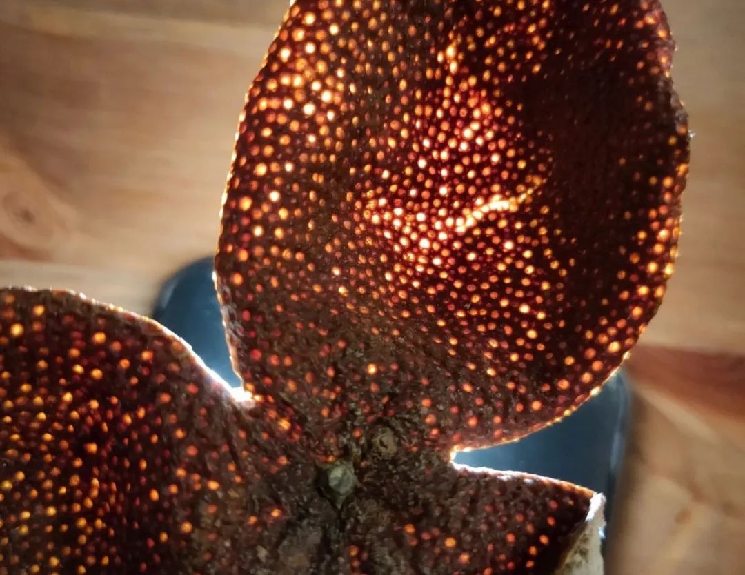 红豆陈皮水的功效祛湿吗,湿气重健脾吃什么