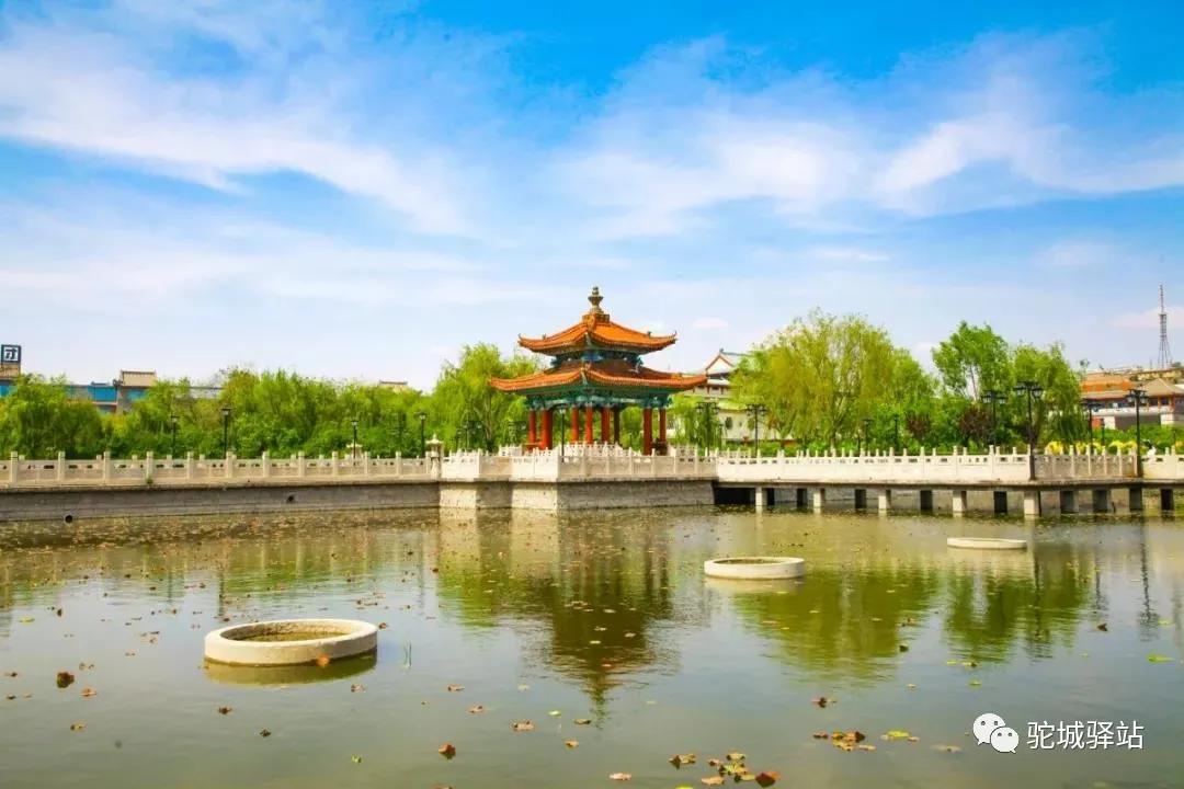 榆林牡丹园,榆林千年牡丹园