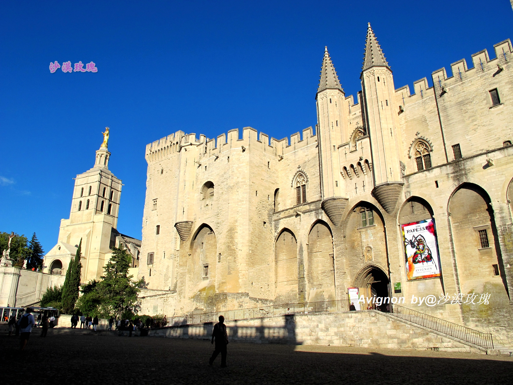 普罗旺斯有浪漫的薰衣草,普罗旺斯未开的熏衣草