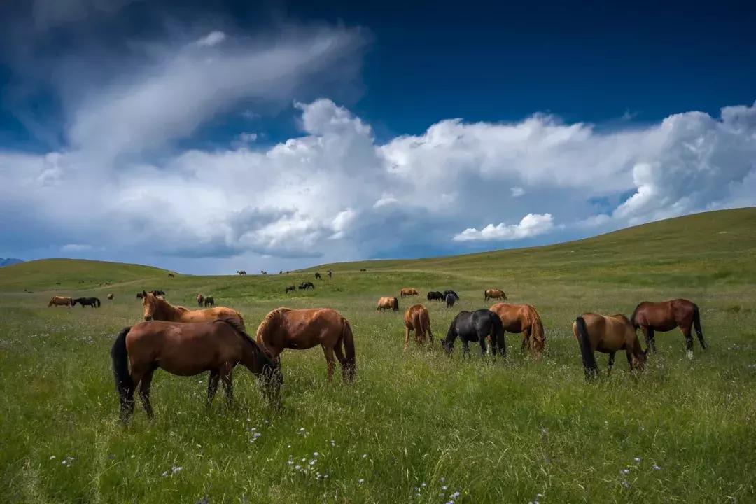 张掖啥意思,张掖古代叫什么