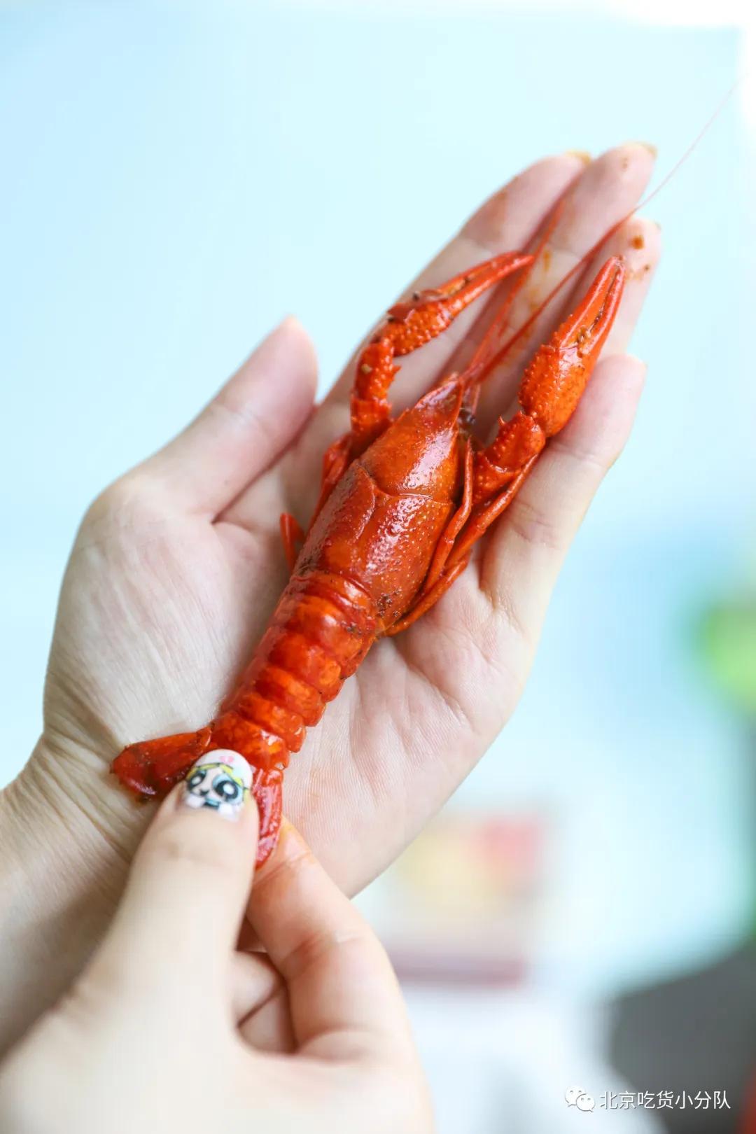 卖1百多亿的网红,卖一百多万商品的网红能赚多少钱