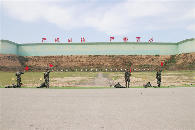 新兵实弹射击个人总结,新兵步枪实弹射击感受