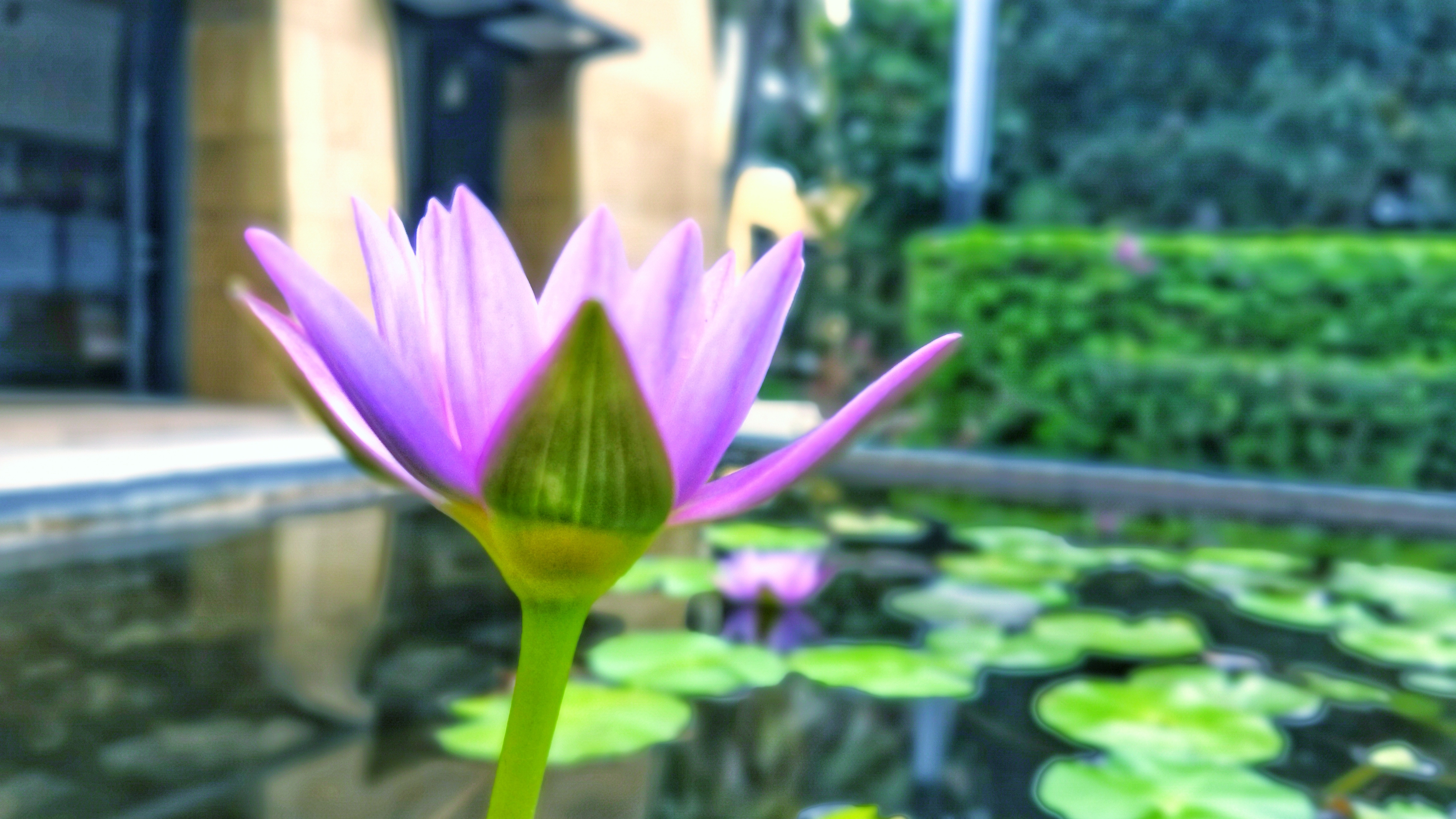 三亚如何找性价比高的住宿,三亚的高端酒店怎么选