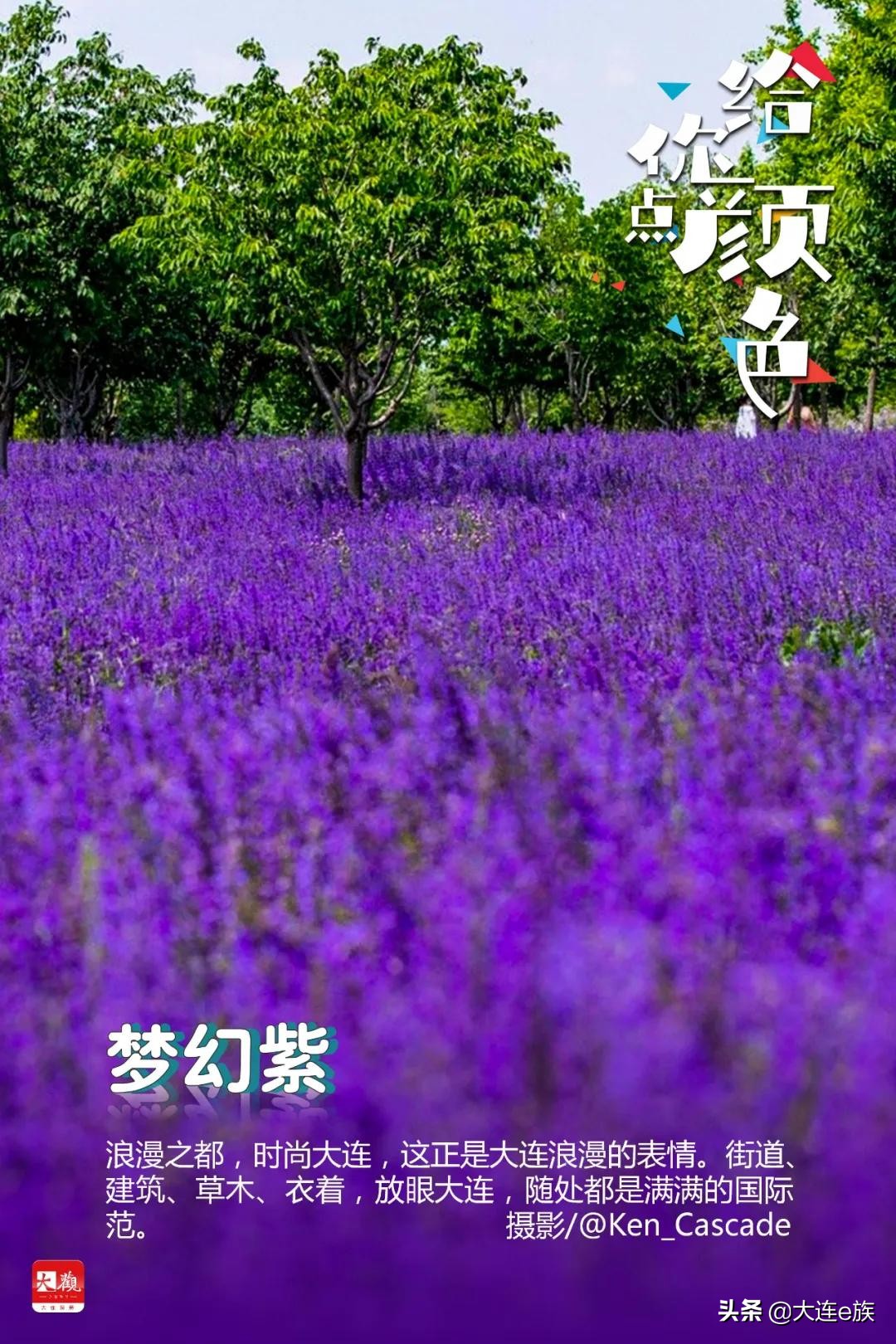 大连色卡,大连给貂皮改色