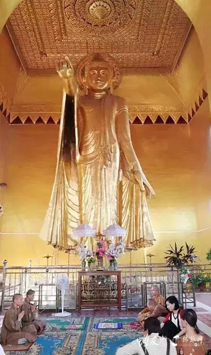 缅甸佛教圣地仰光大金塔,千年佛祖舍利视频