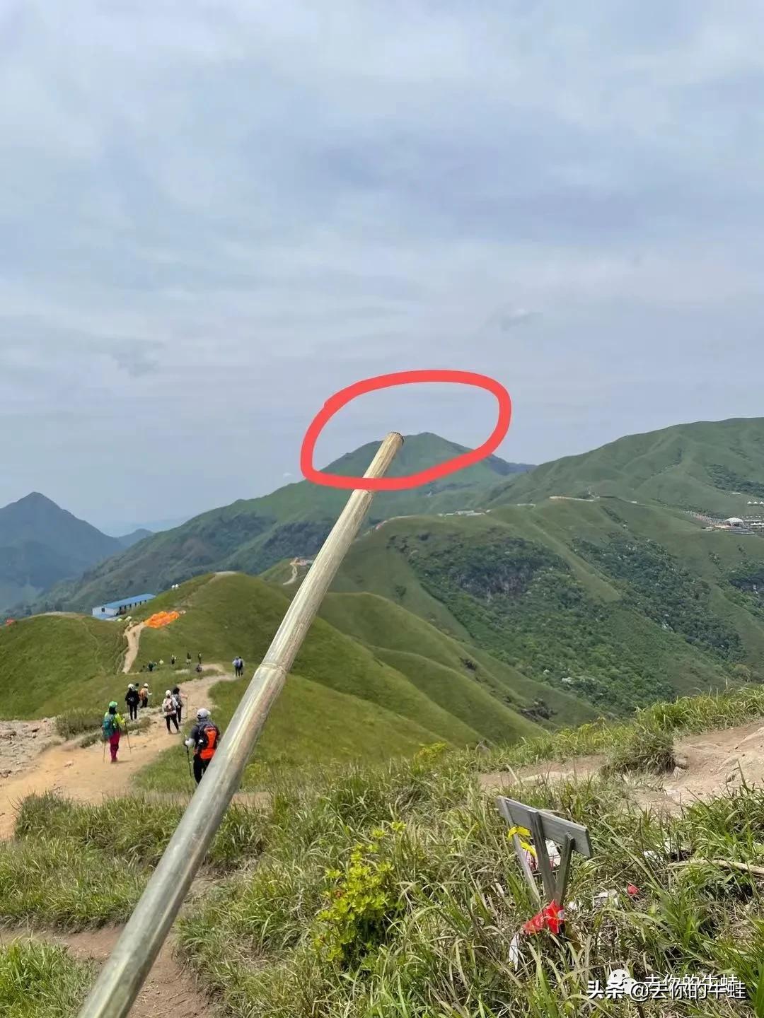 那些年带娃的旅游现场,带娃旅游崩溃的瞬间