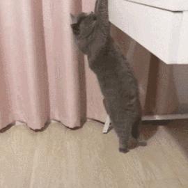 “你好，我是X宝网客服”，各种诈骗短信合集来了！