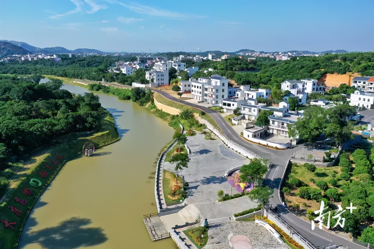 荔枝丰收季最新视频,荔枝丰收季广东