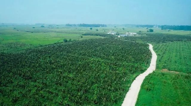 案例|农村三产融合新样板:梨园公社(堪称经典)