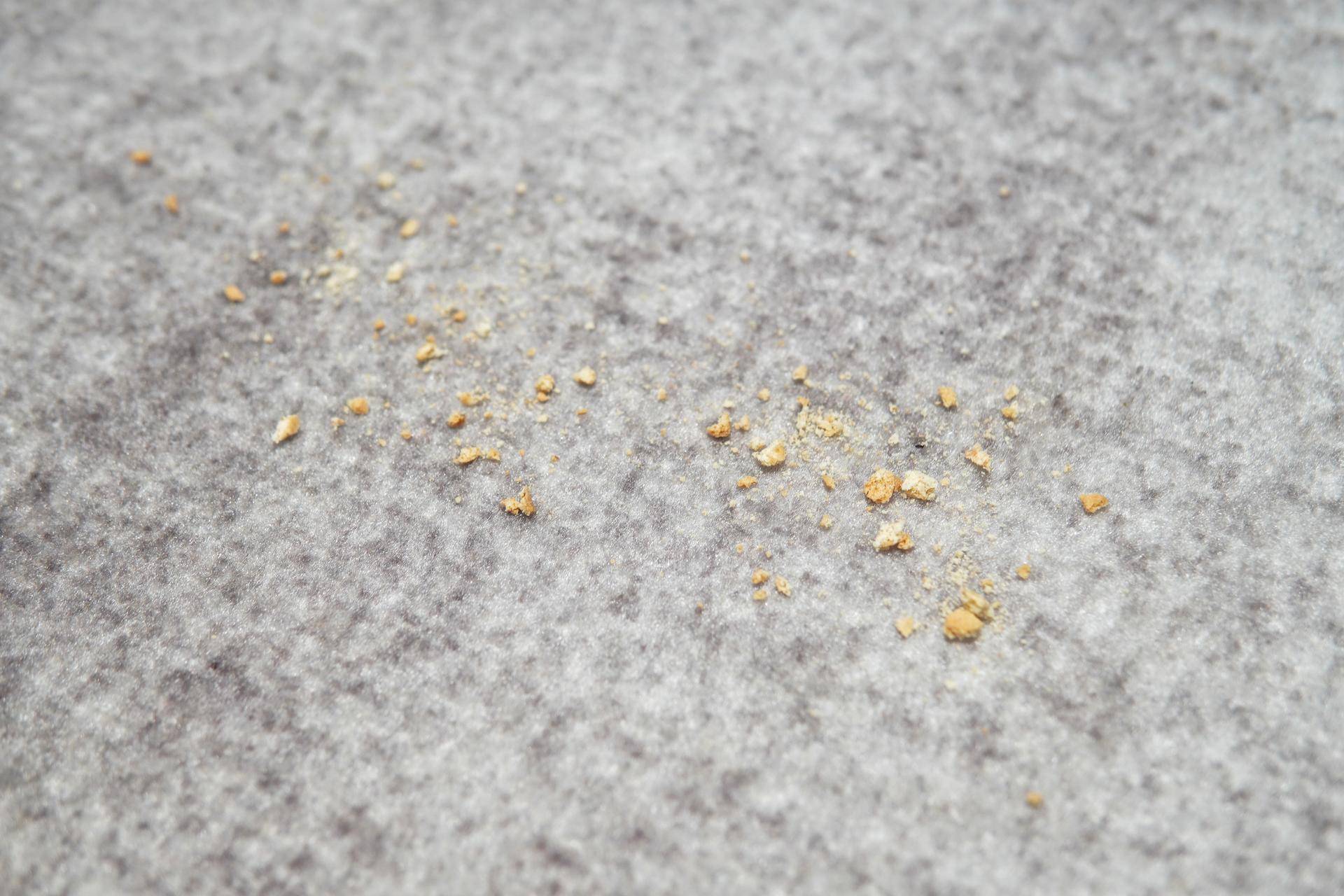 能扫能拖还能除菌?科沃斯地宝DEEBOTN8PRO评测