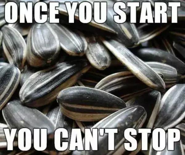 老外开始学中国人嗑瓜子了,老外开始学中国话