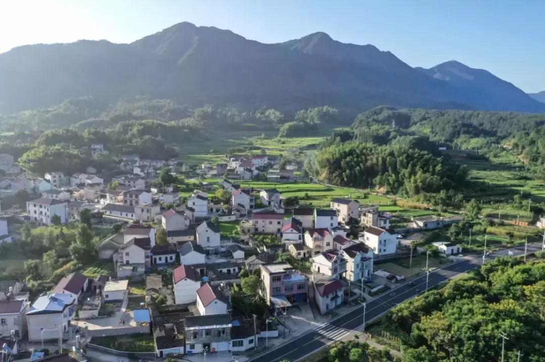 我在十八线小村当大V:一年网购金额超全国99.9%的人