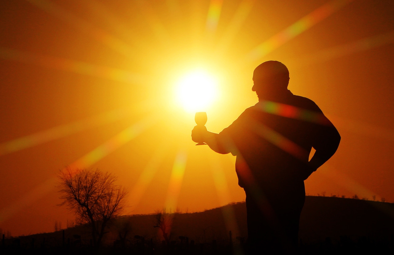 关于不负韶华努力学习倡议书,不负韶华传递正能量的倡议书