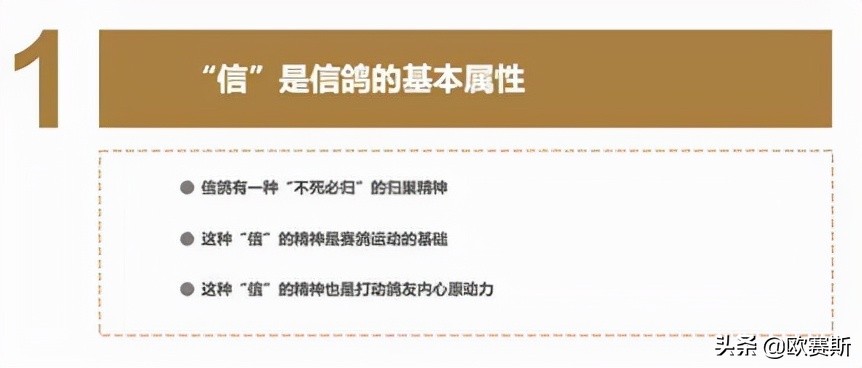 品牌战略*局破**必备的七种*器武**