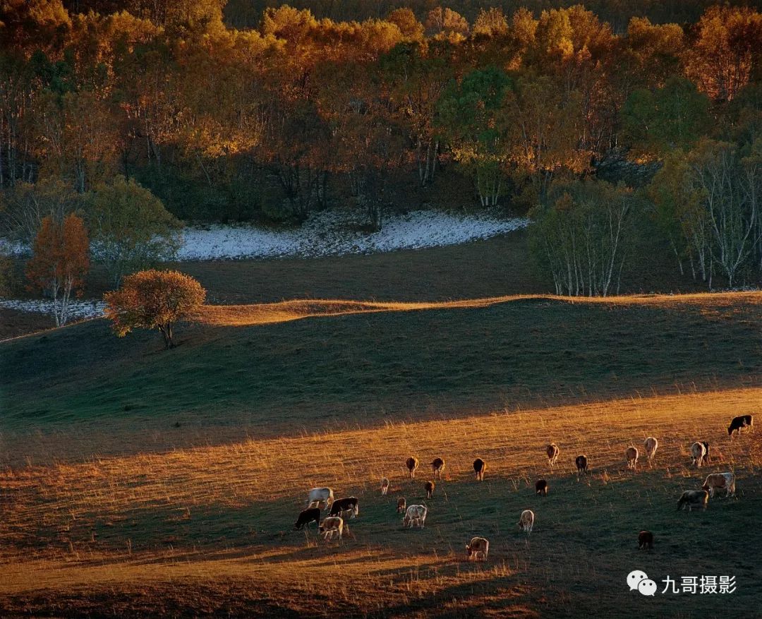 大美坝上草原全景,大美坝上风光系列之一