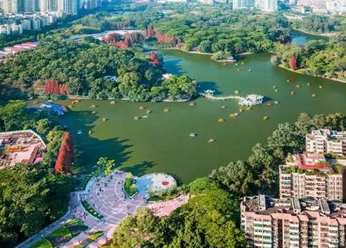 广州天河比较好的小学,广州天河棠下小学是省一级的吗