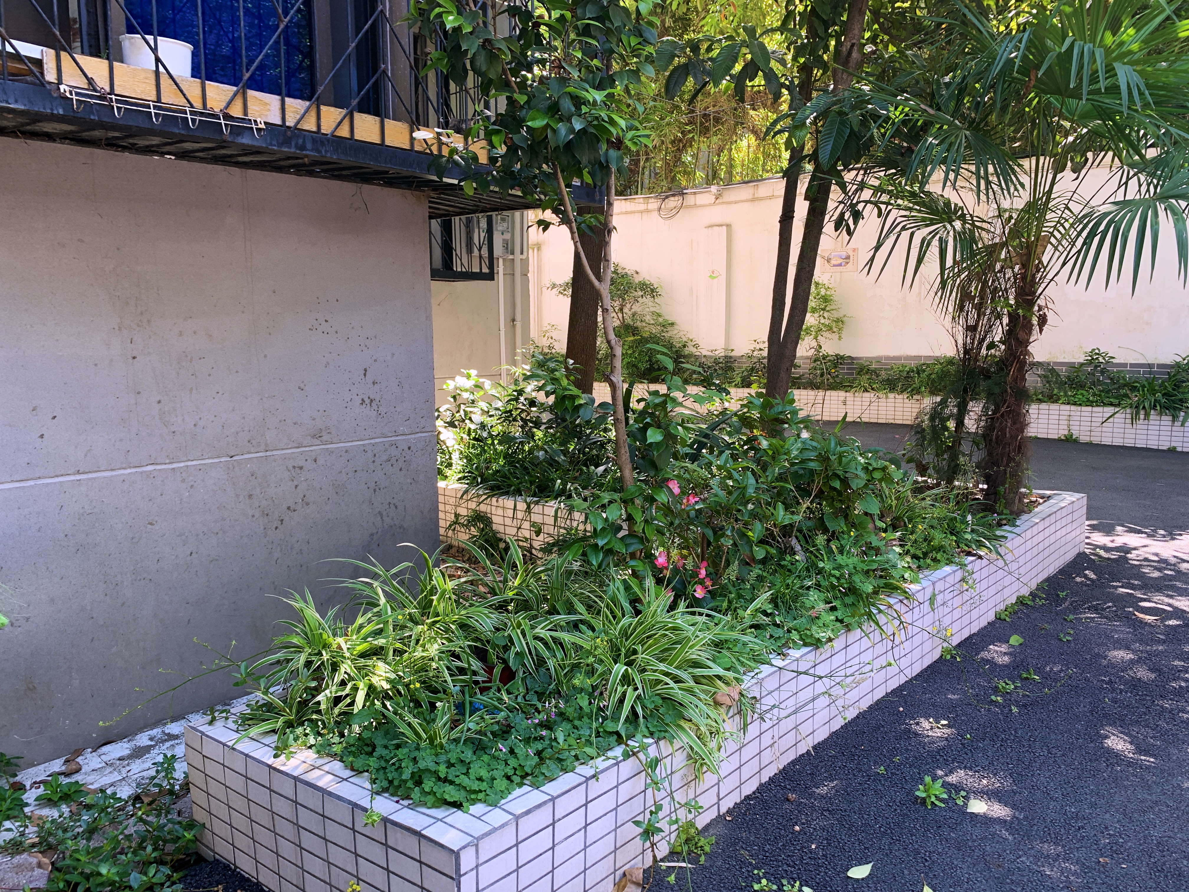 2021幸福感城市成都,最幸福感城市排名成都第一