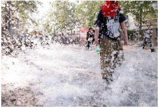 为了替你出气,我们给讨厌的杨柳絮来个“以暴制暴”