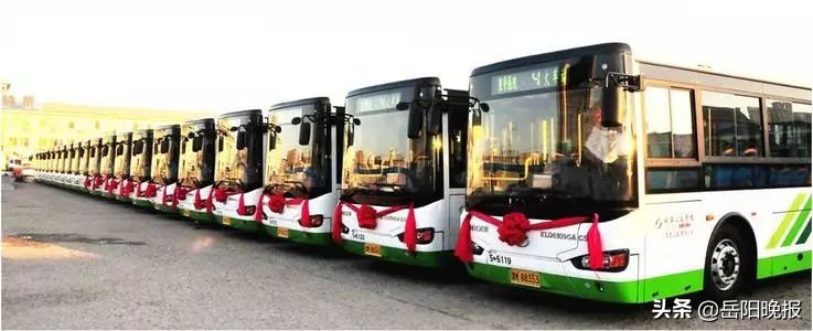 岳阳行政区域划分,岳阳市区行政区域划分