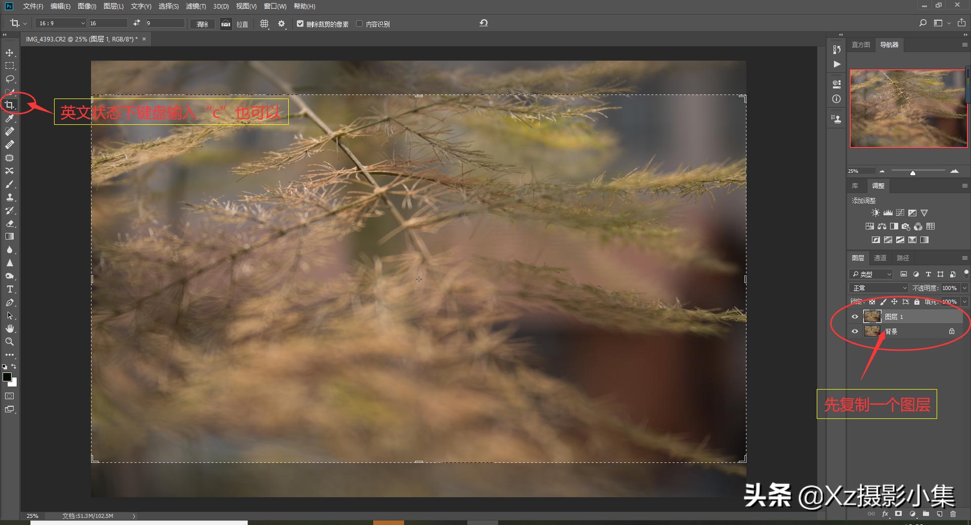 如何拍摄微距镜头照片好看,如何拍摄出景深较宽的微距照片