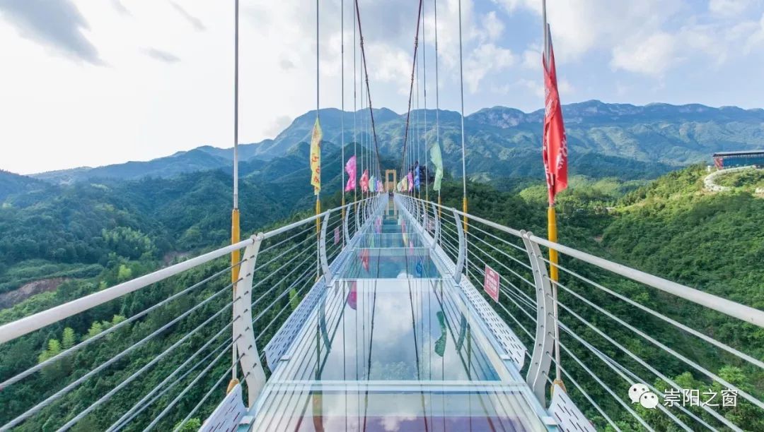 崇阳柃蜜小镇电音节,崇阳县柃蜜小镇最新新闻