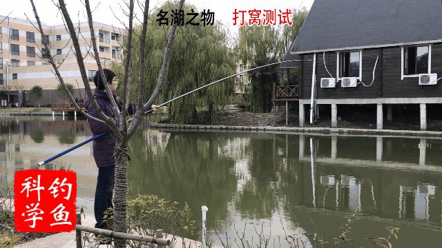 迪佳哪款综合鱼竿最好用,迪佳哪款鱼竿最结实