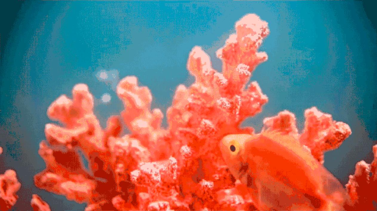 最好的陪伴就是和爱的人一起跨年 (和最爱的人一起跨年的感受)