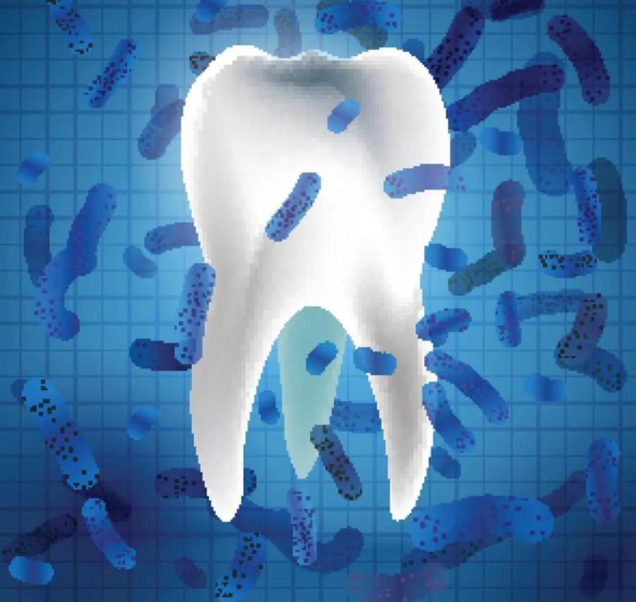 真正超声波牙刷洁牙器,超声波洁牙器是智商税吗