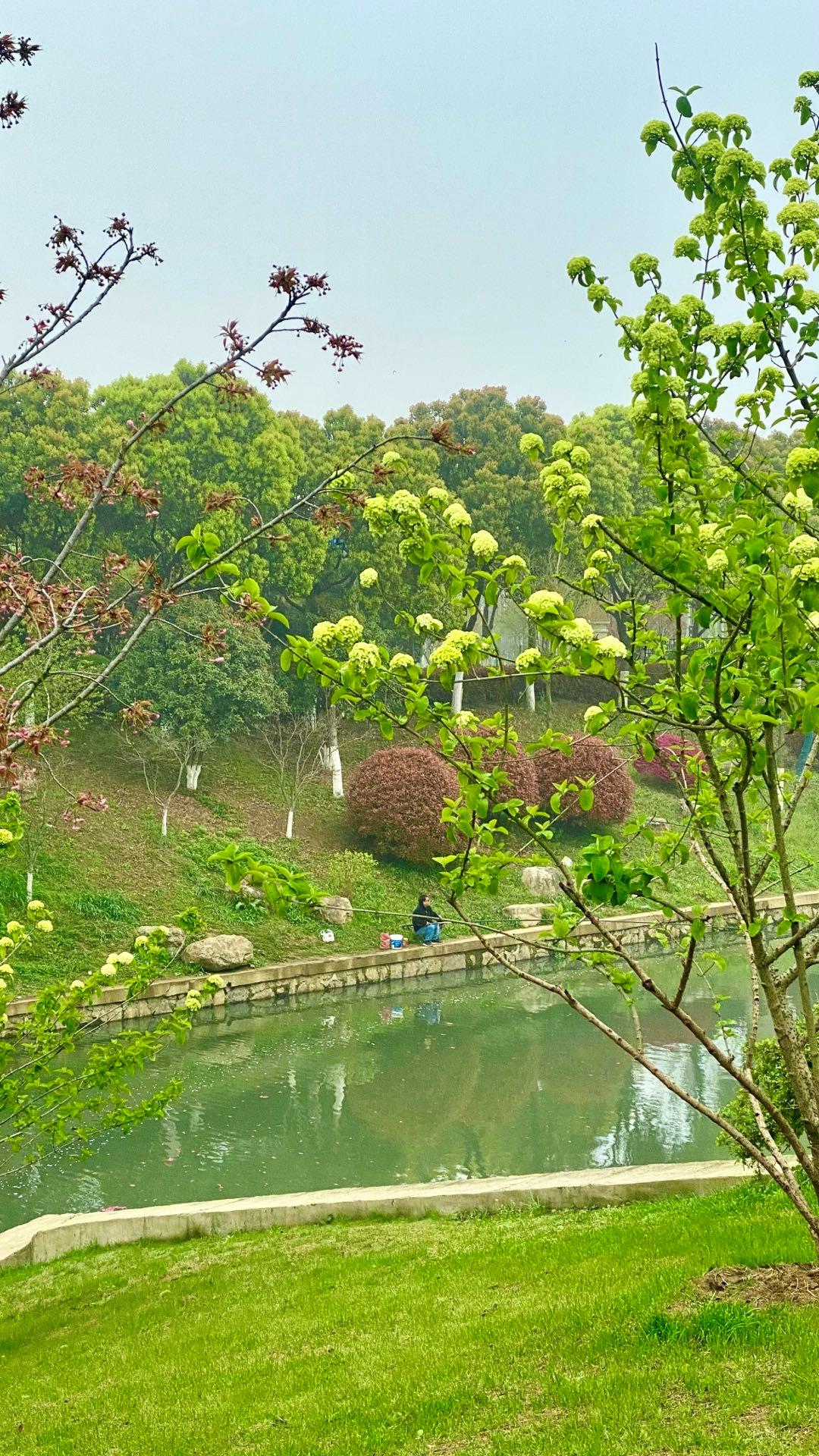 南京的小众景点非常适合一个人去,南京充满森林的公园