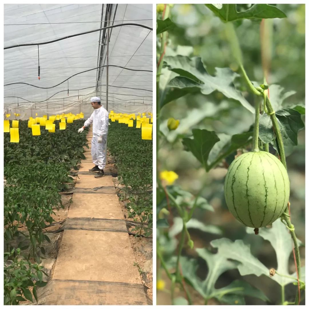 看了这40位生活美学家的创造，心顿时亮了！西安人年度最佳收藏贴