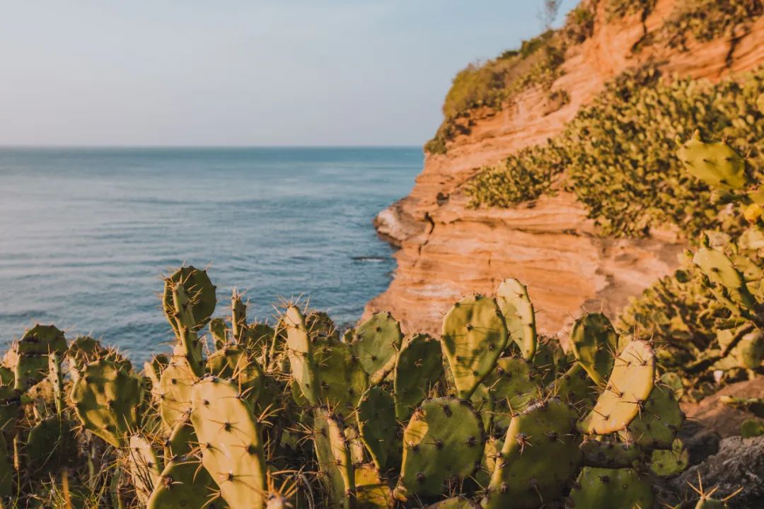 五一台州海岛,五一天气好的海岛推荐