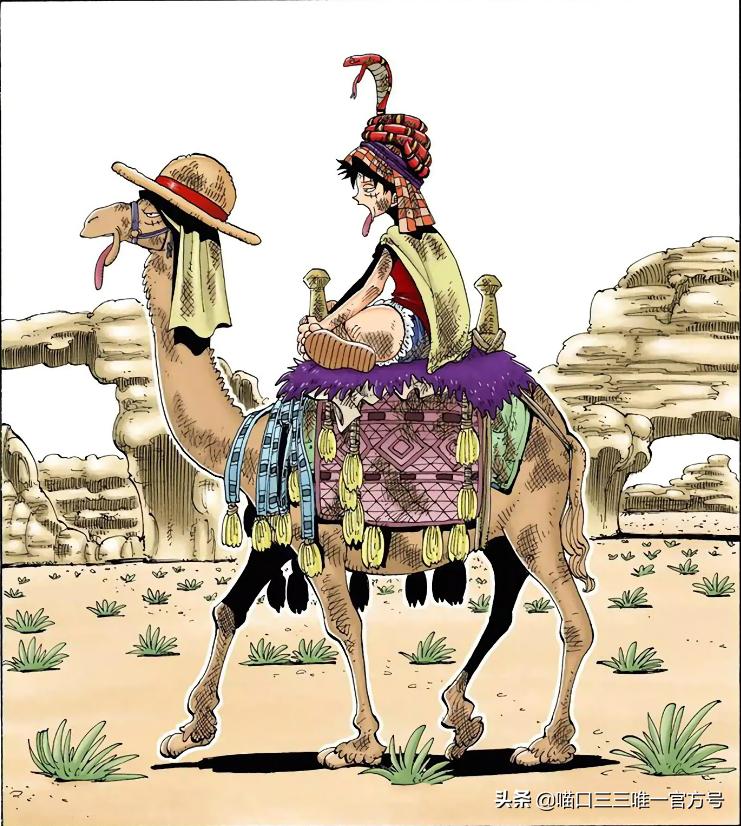 海贼王娜美登场是哪集,海贼王金狮子剧场版娜美