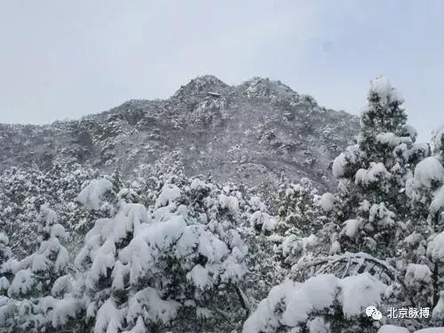 北京国家森林公园风景,画说北京故事