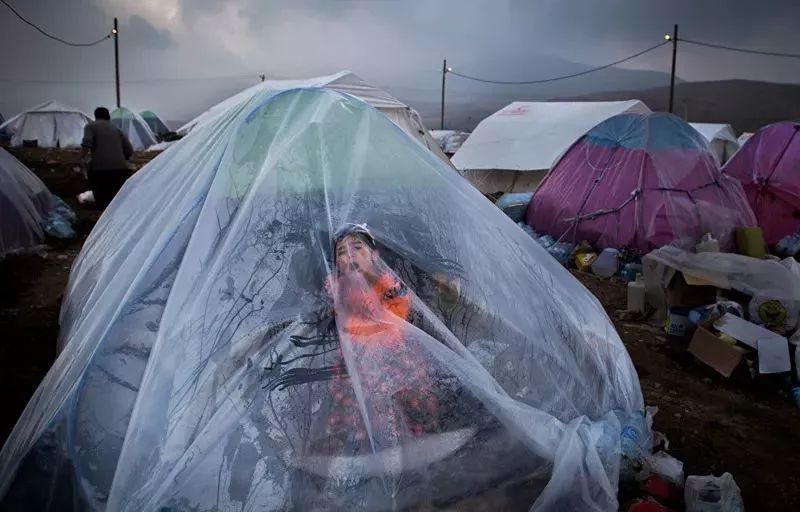 世界新闻摄影大赛获奖作品,国际新闻摄影