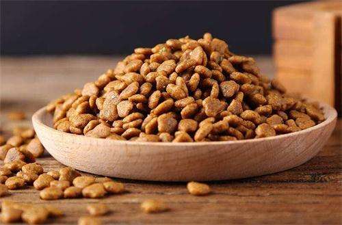 柯基吃什么牌子狗粮好,柯基狗粮性价比高的牌子