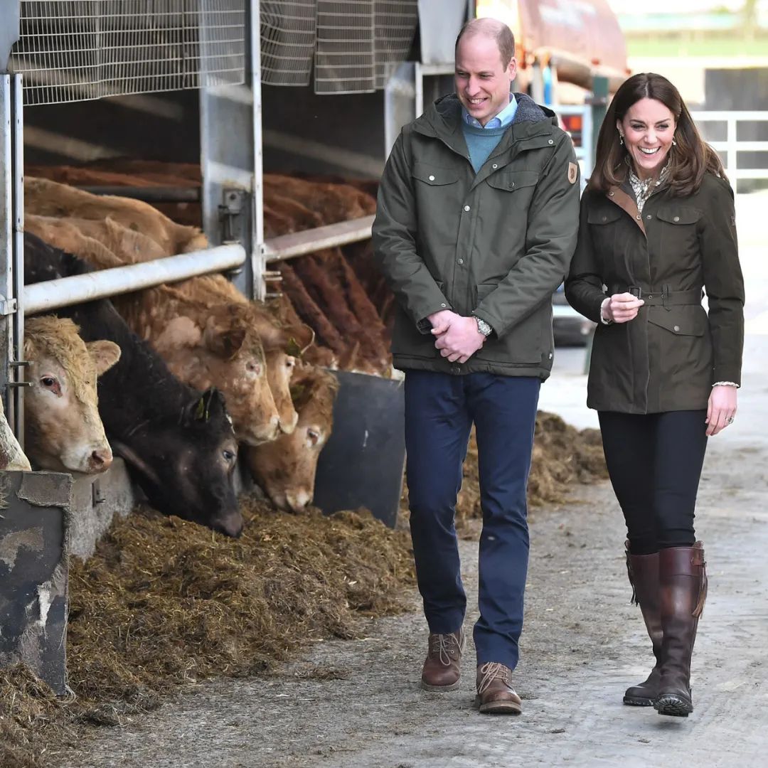 凯特王妃穿一身绿，让她放飞自我的岛国居然比重庆市还小