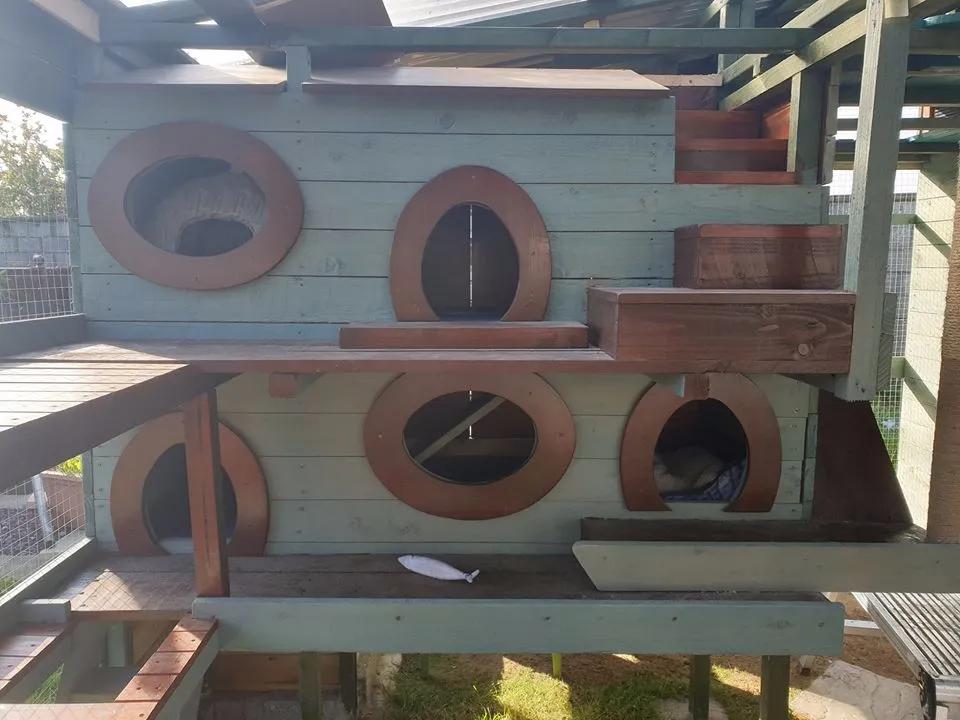 拥有“私家园林”,游遍世界各地,这些猫咪的生活太让人羡慕了吧