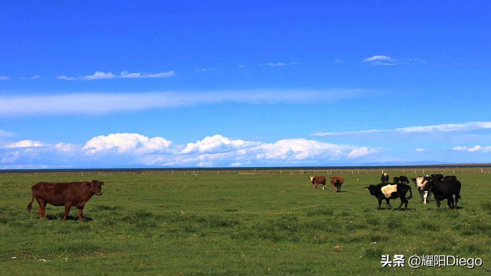 石河子到敦煌旅游省钱攻略,青海敦煌旅游攻略路线