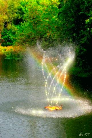 100张会动照片,30张罕见且迷人的图片